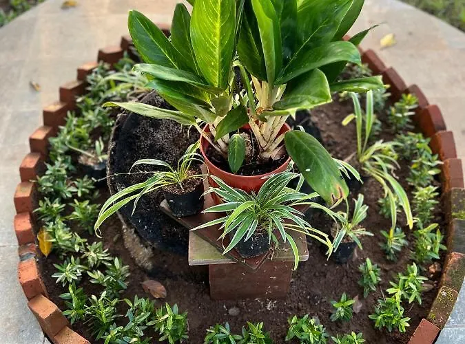 ゲストハウス Santai Karangasem
